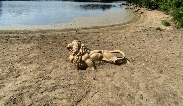 w4stone Löwe Statue im Sand